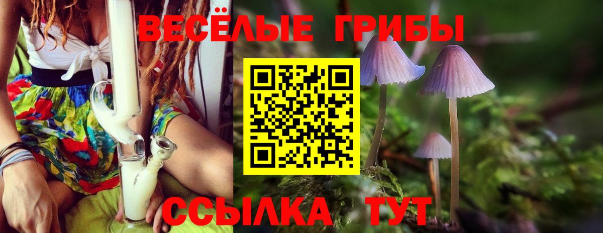 Псилоцибиновые грибы мицелий Моздок