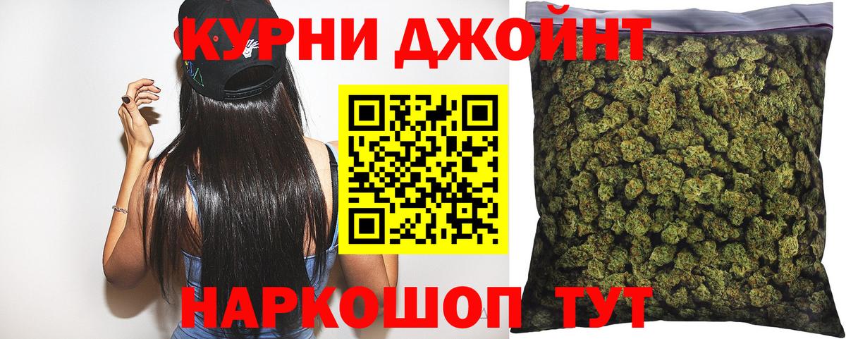 Бошки Шишки планчик Моздок
